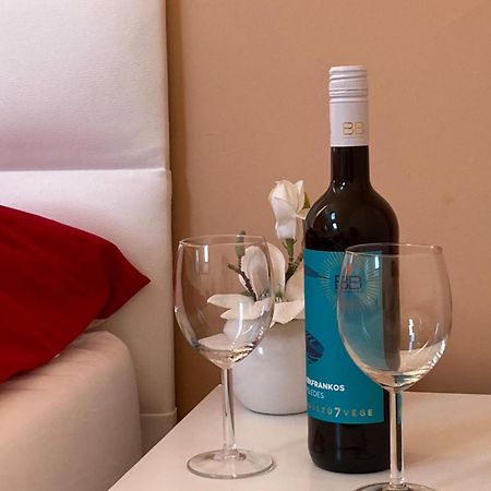 Esztergom Apartman エクステリア 写真
